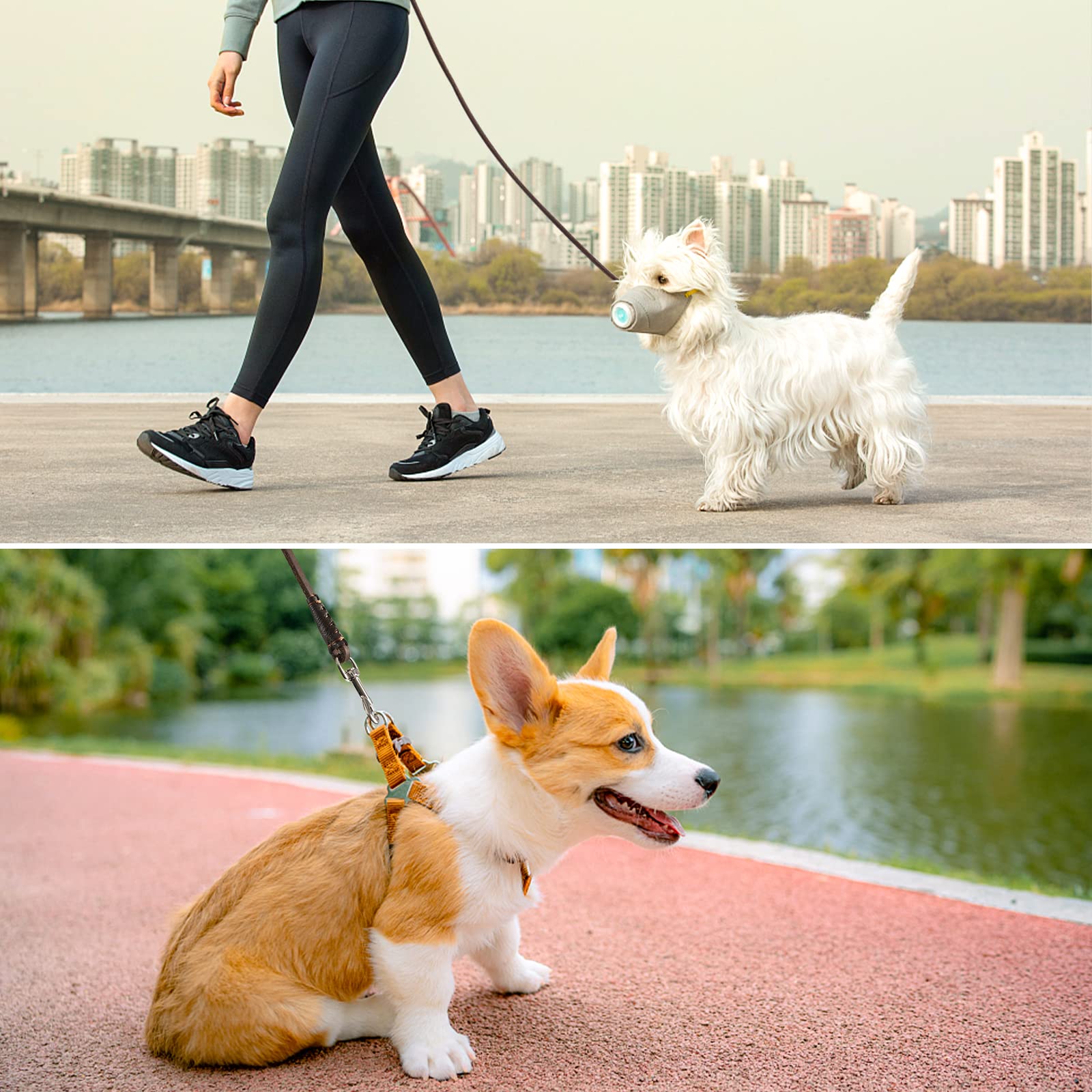 Uso diario ligero diseñado para paseos tranquilos con perros pequeños.