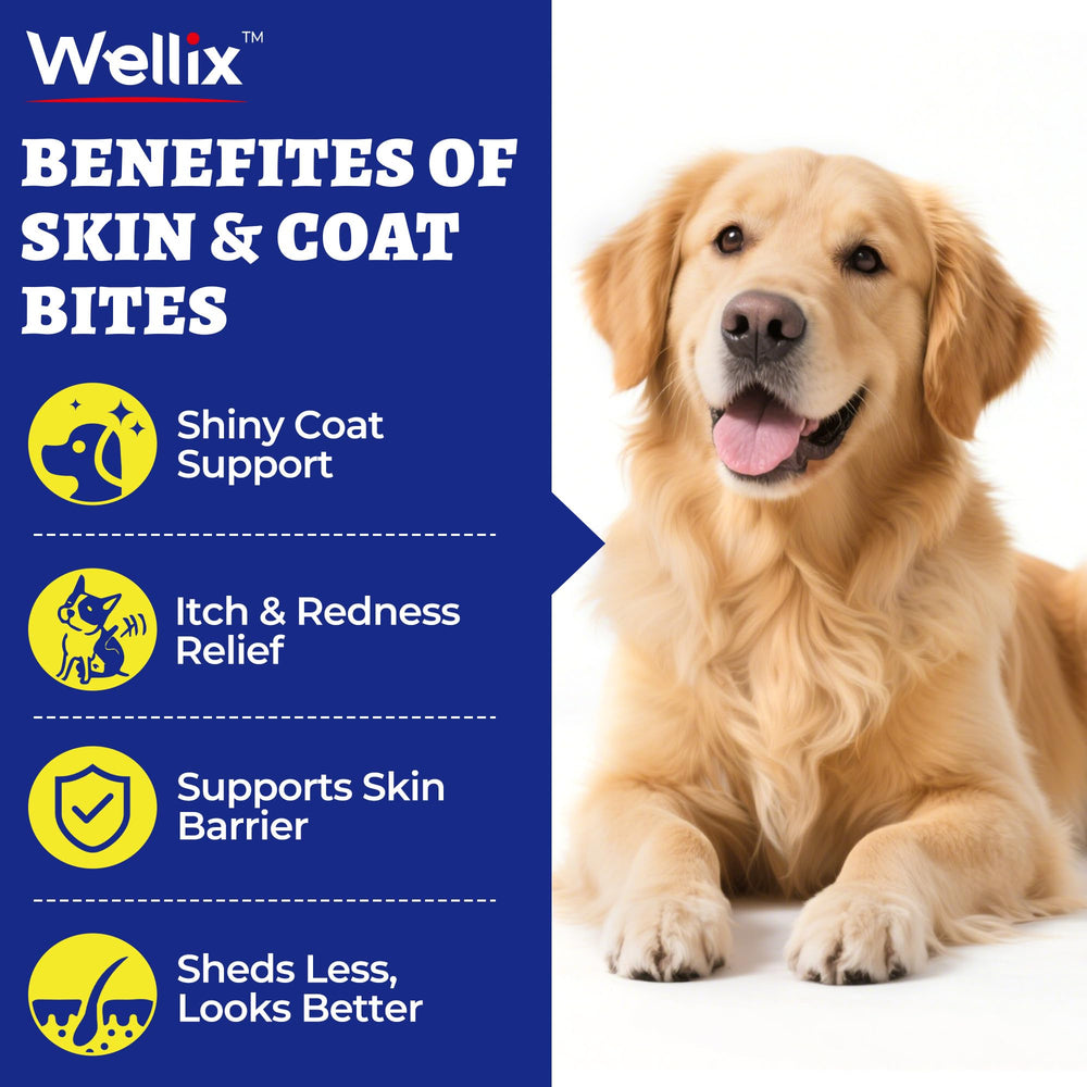 Wellix aceite de salmón con omega-3 para perros, EPA y DHA en cada bocado