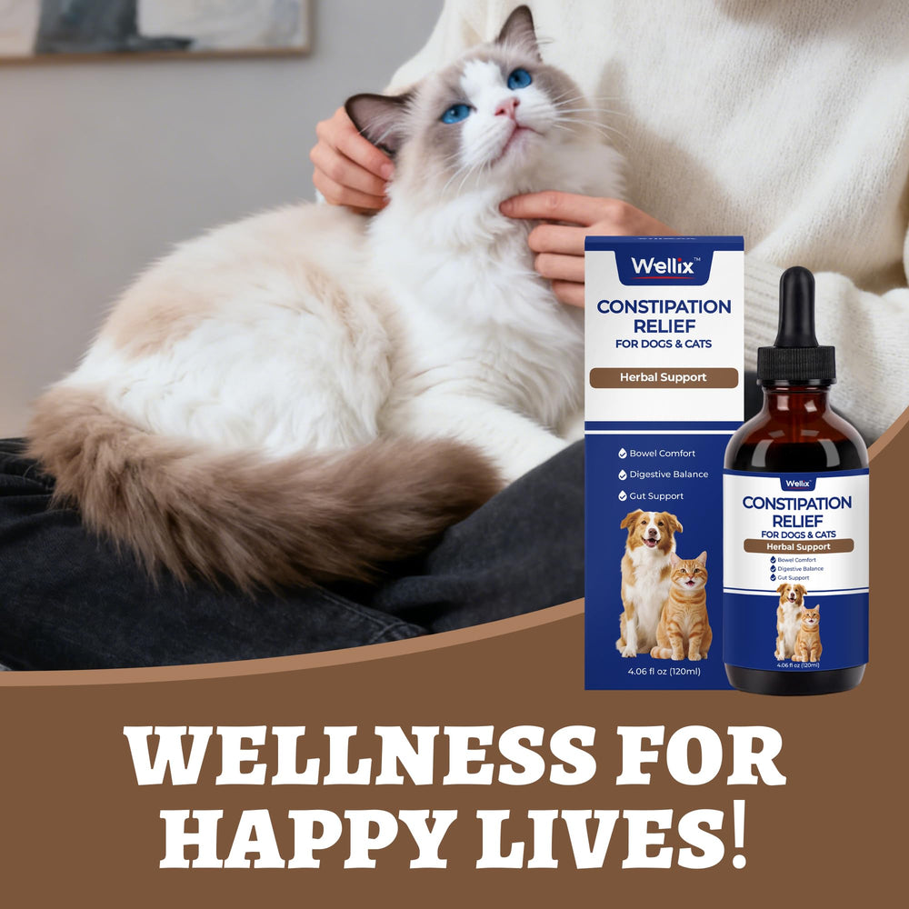 Wellix botella de 4oz para gatos y perros, dura hasta cuatro meses.
