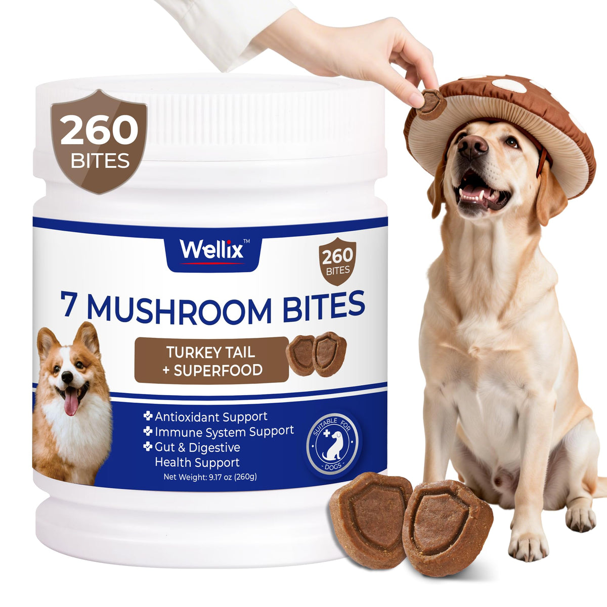 Wellix hongo cola de pavo para perros en empaque, snack práctico para la rutina diaria.