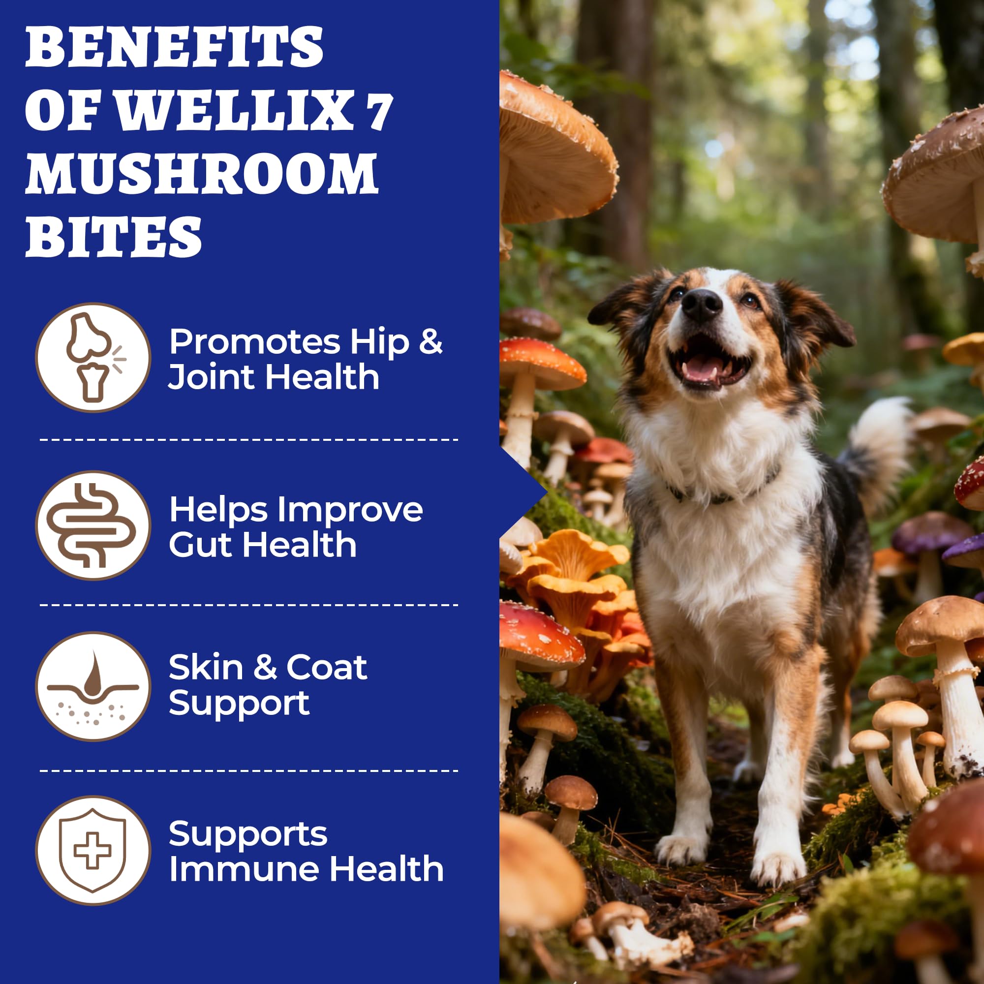 Textura suave de masticables Wellix, ideal para perros de todas las edades.