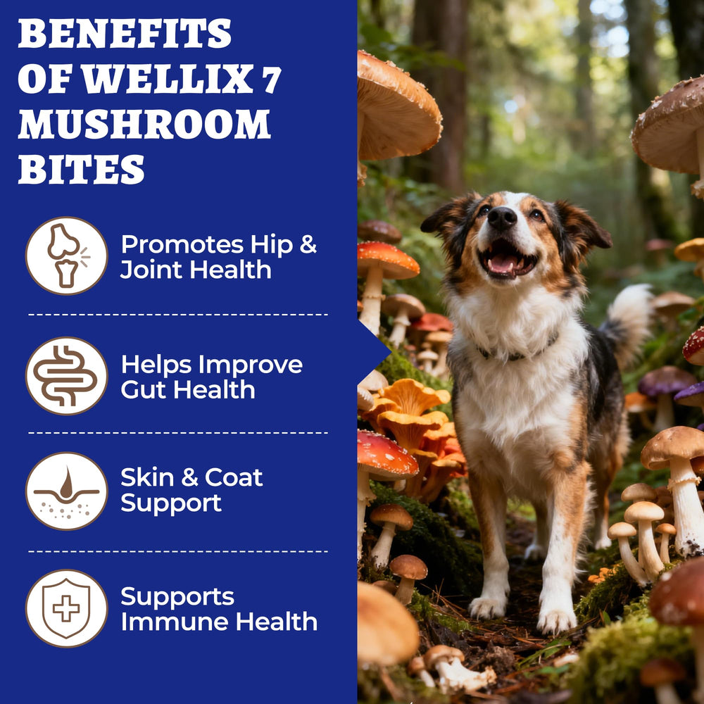 Textura suave de masticables Wellix, ideal para perros de todas las edades.
