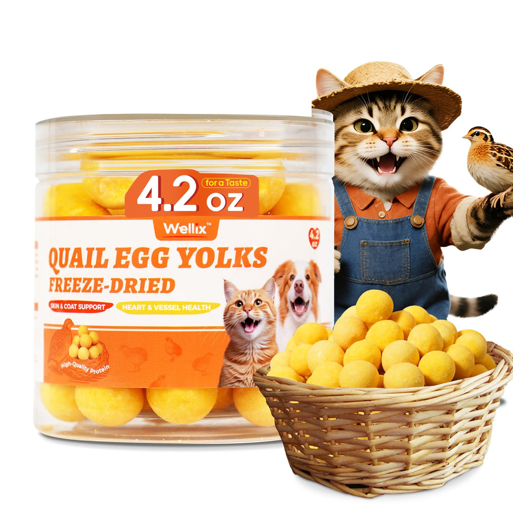 Wellix huevos de perdiz secos: lata 4.2 oz, snack proteico para mascotas.
