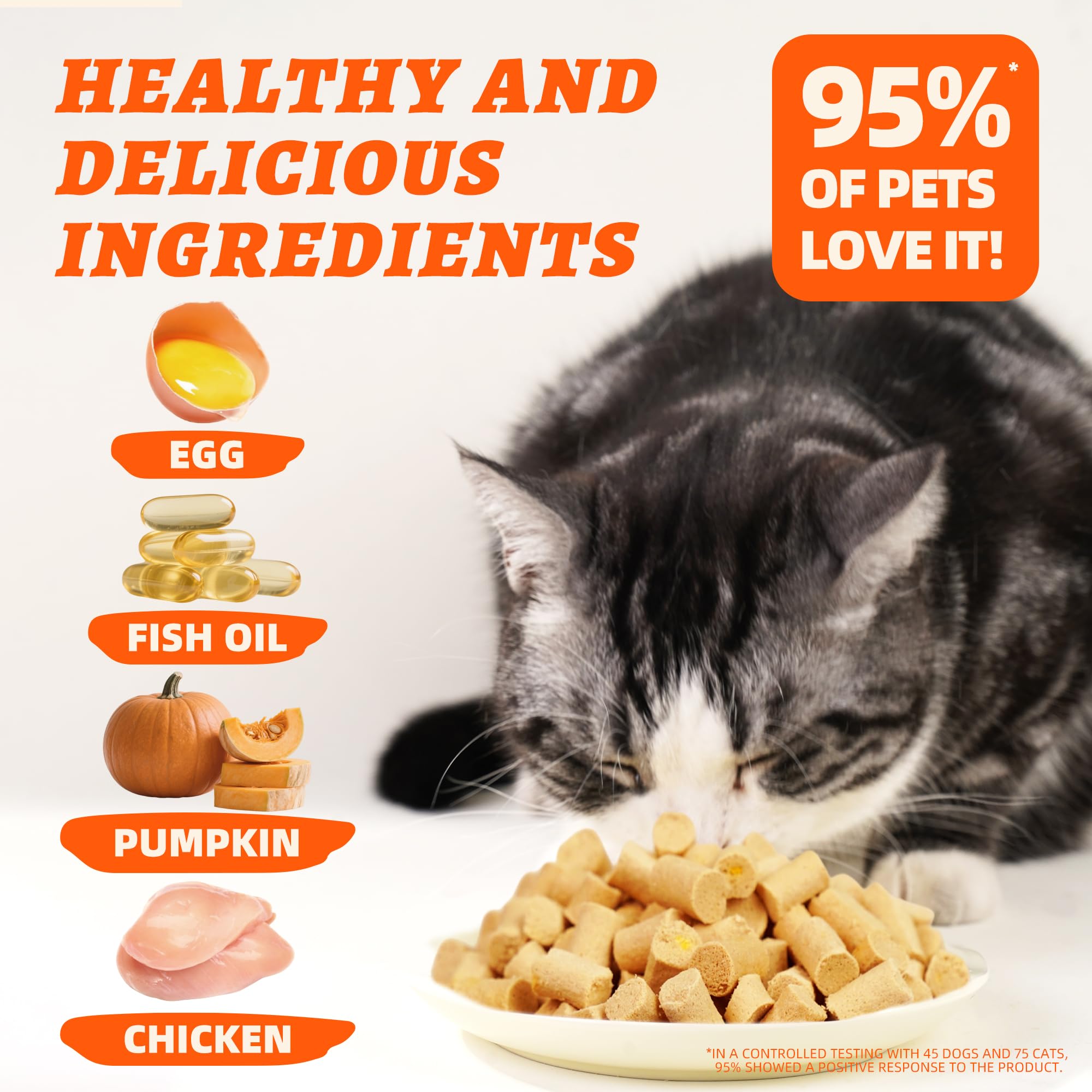 Wellix mascota disfrutando complemento, combina con comida diaria para variedad de sabor.