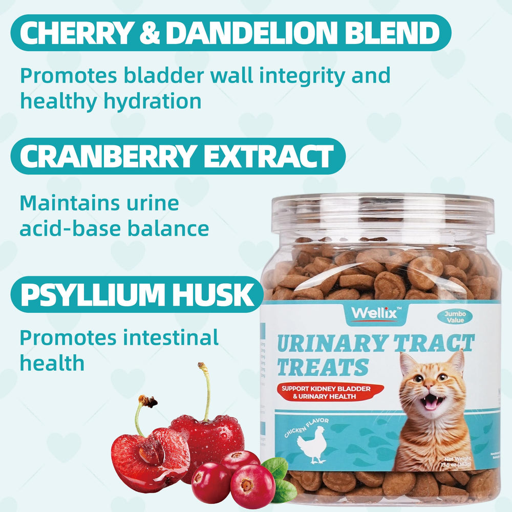 Wellix ingredientes naturales arándano y diente de león para apoyo diario.