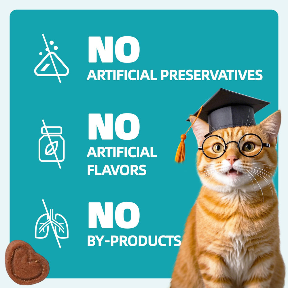 Wellix uso diario para gatos de interior y satisfacción.