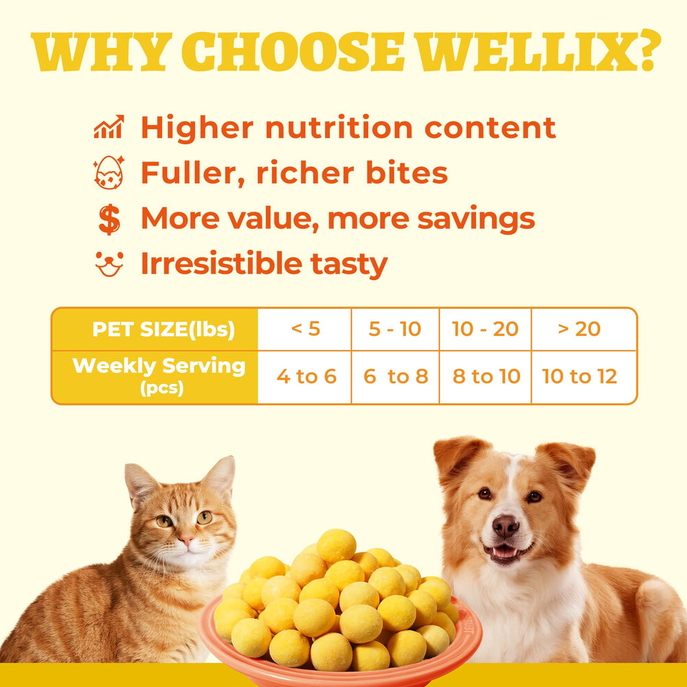 Wellix textura crujiente y sabor natural para mascotas.