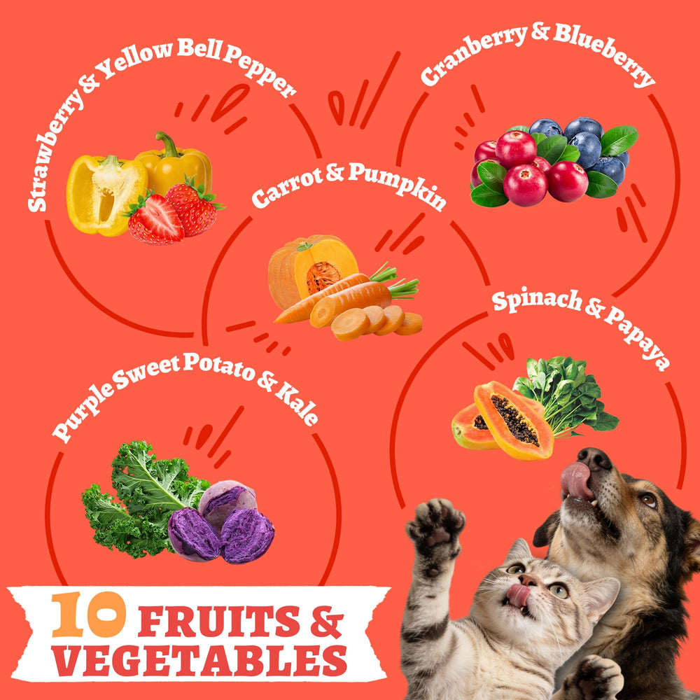 Wellix topper para comida, realza sabor y aporta proteína adicional.