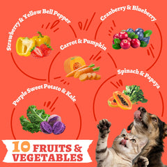 Wellix topper para comida, realza sabor y aporta proteína adicional.