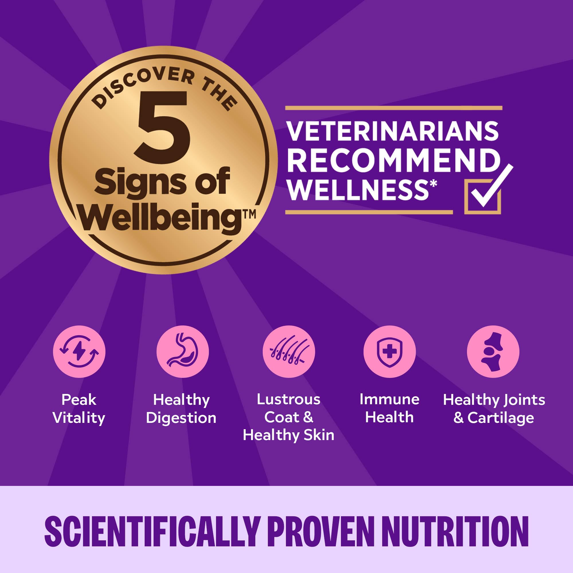 Wellness dieta completa para gatos, favorece hidratacion y energia diaria.