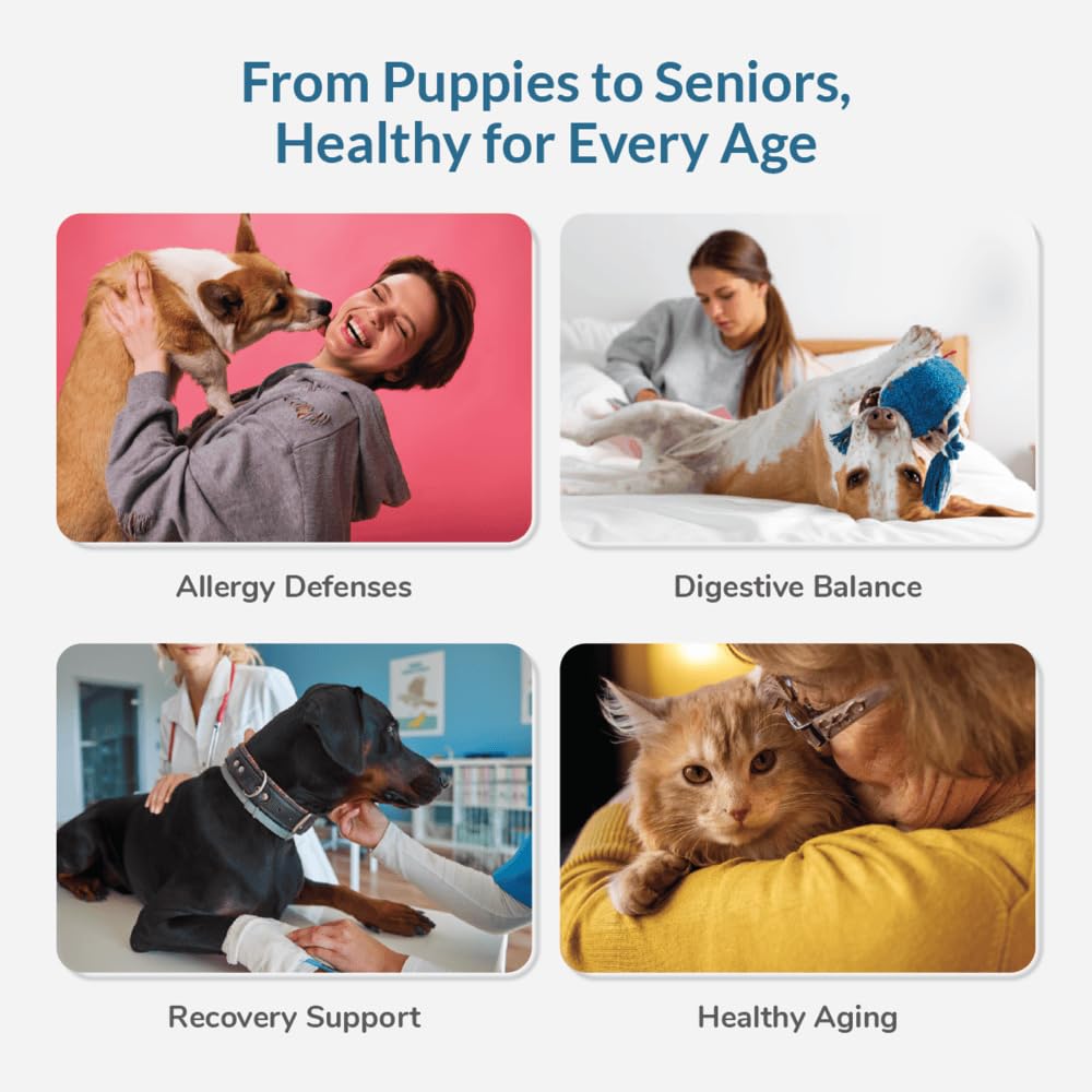 Wellness Extract colostro bovino, uso-dosis para perros y gatos