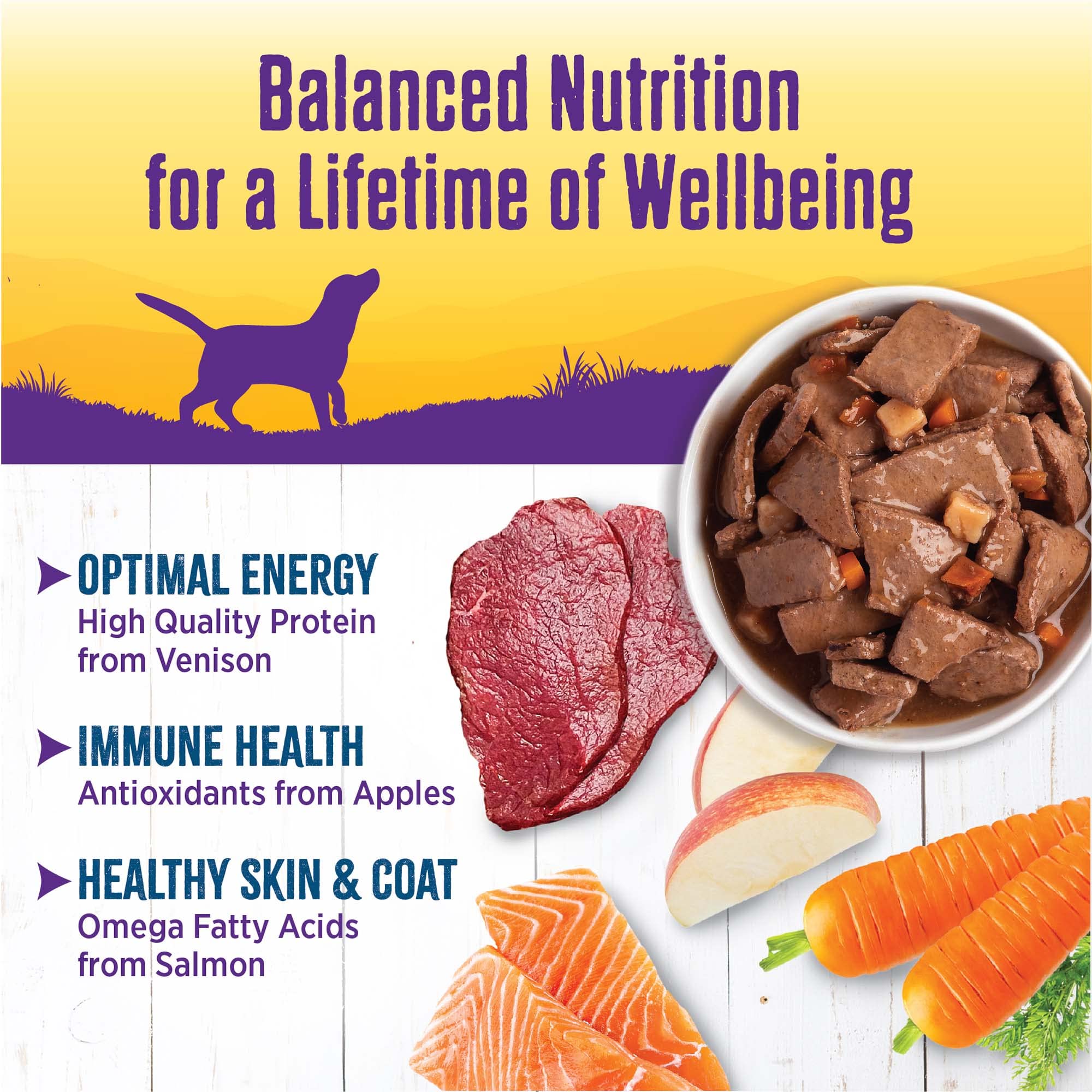Wellness omega-salmon aceite aporta omega-3 para piel y pelaje saludables.