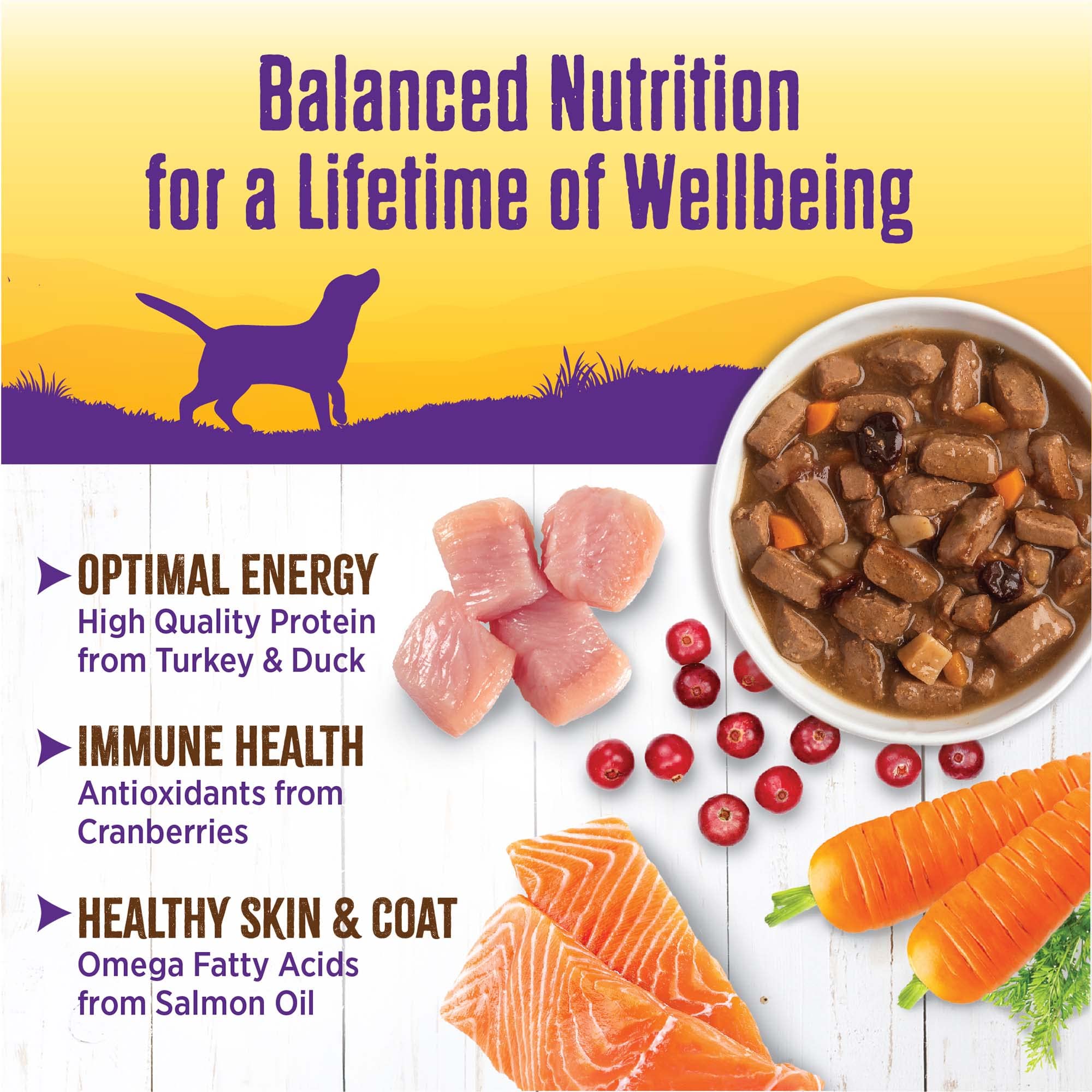 Wellness lata sin maíz trigo soja, ingredientes premium y de alta calidad.