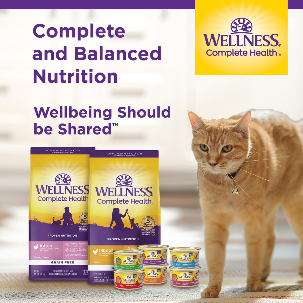 Wellness Pate Pack 24 Latas para gato, conveniencia para el hogar.
