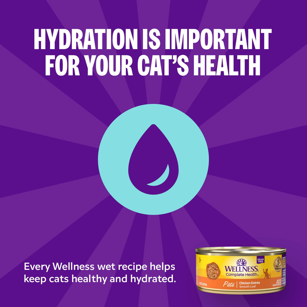 Wellness Pate Proteina Alta para gato adulto con pollo, lata 5.5 oz.