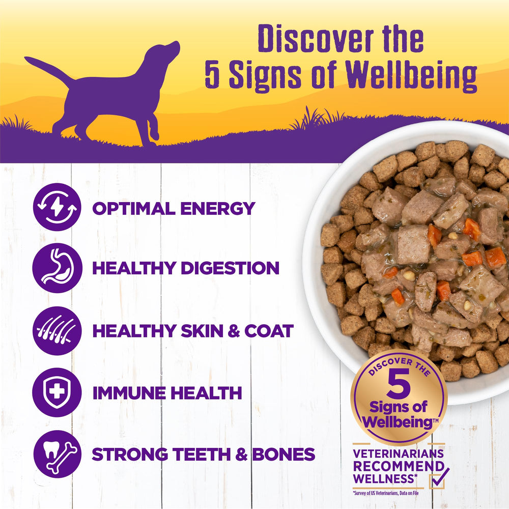 Wellness perro arroz y manzanas en guiso nutritivo