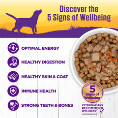 Wellness perro arroz y manzanas en guiso nutritivo