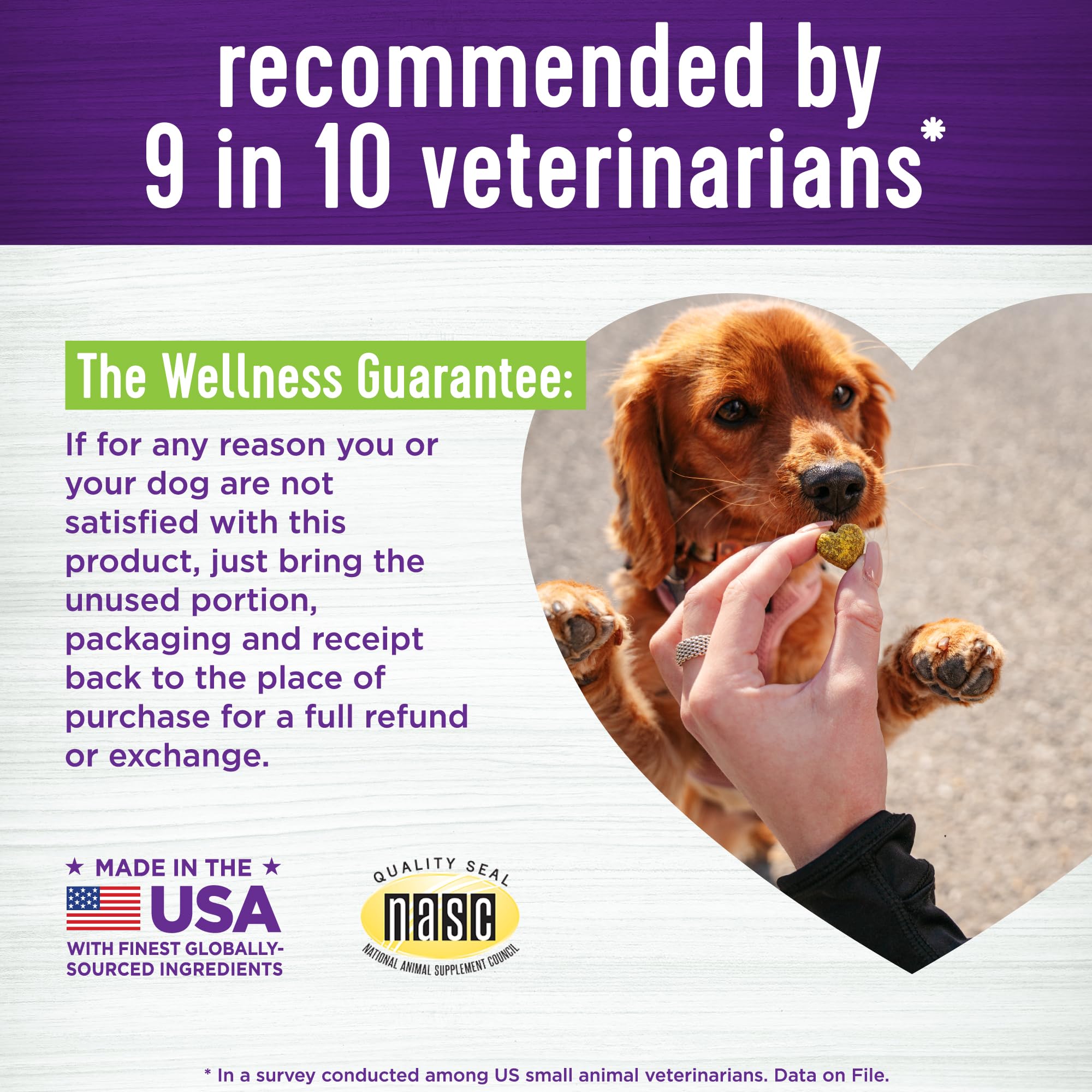 Wellness frasco de gomitas de calabaza para perros