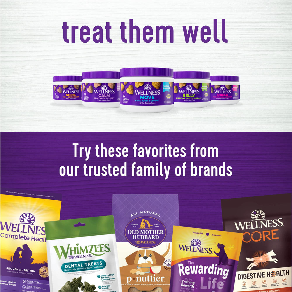 Wellness perro disfrutando masticables, una experiencia agradable para el cuidado.