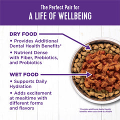 Wellness sin maiz trigo soja, formula limpia para gatos.