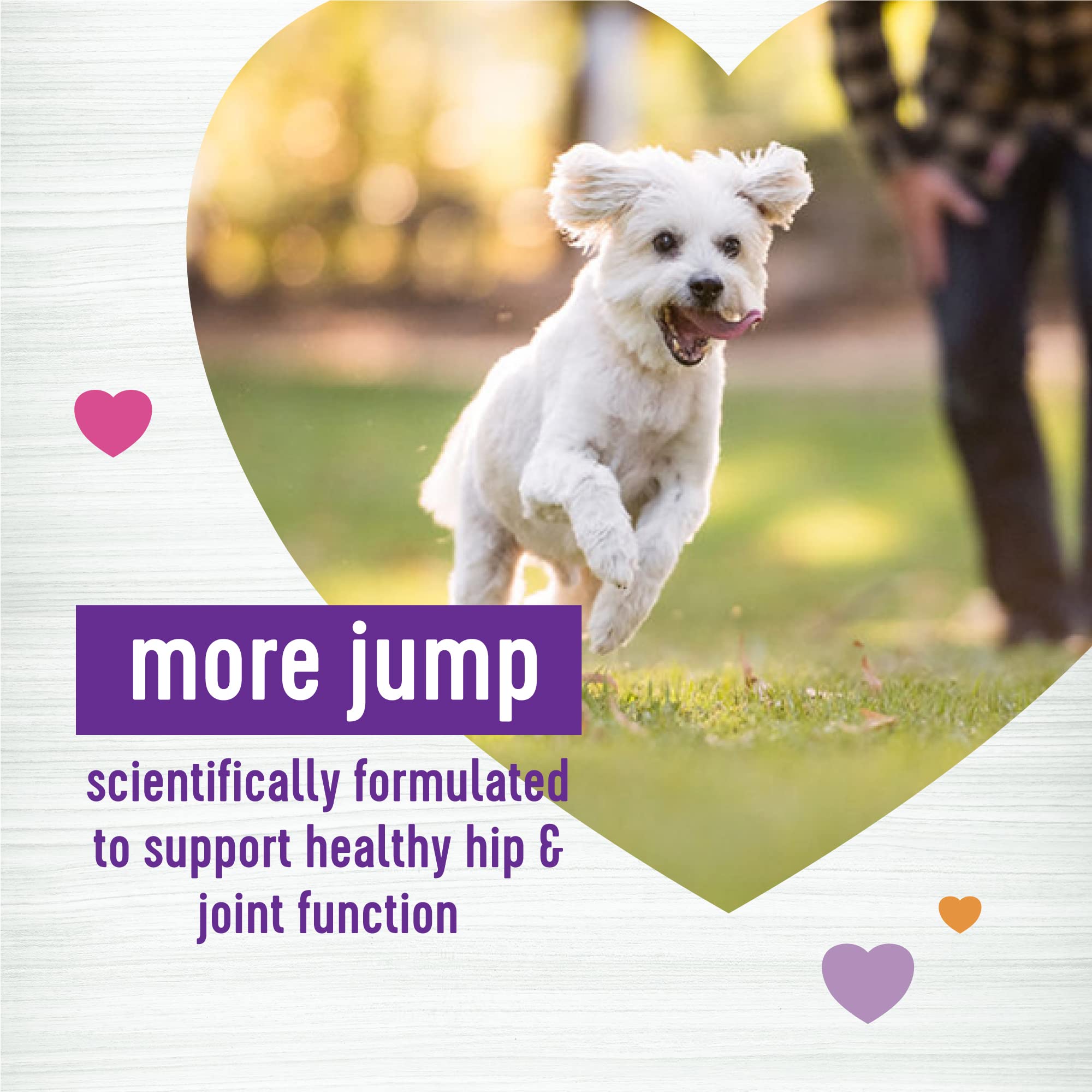 Wellness textura masticable suave para perros que buscan movilidad cotidiana.