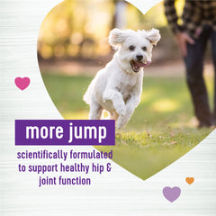 Wellness textura masticable suave para perros que buscan movilidad cotidiana.