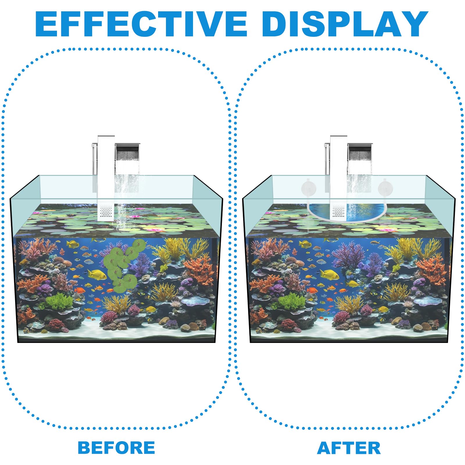 Wensdr ordena y decora el acuario con plantas flotantes bien separadas.