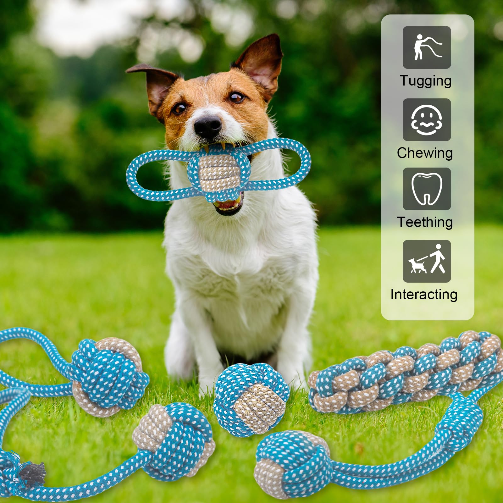 Weocar: juguete de cuerda para masticar, ideal para perros pequeños activos.
