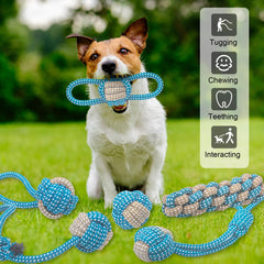 Weocar: juguete de cuerda para masticar, ideal para perros pequeños activos.