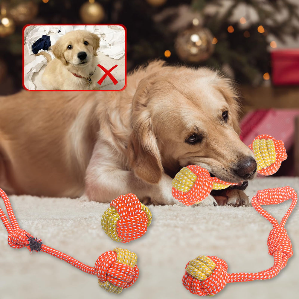 Weocar juguete de cuerda para juego de arrastre, ideal para vínculo y ejercicio.