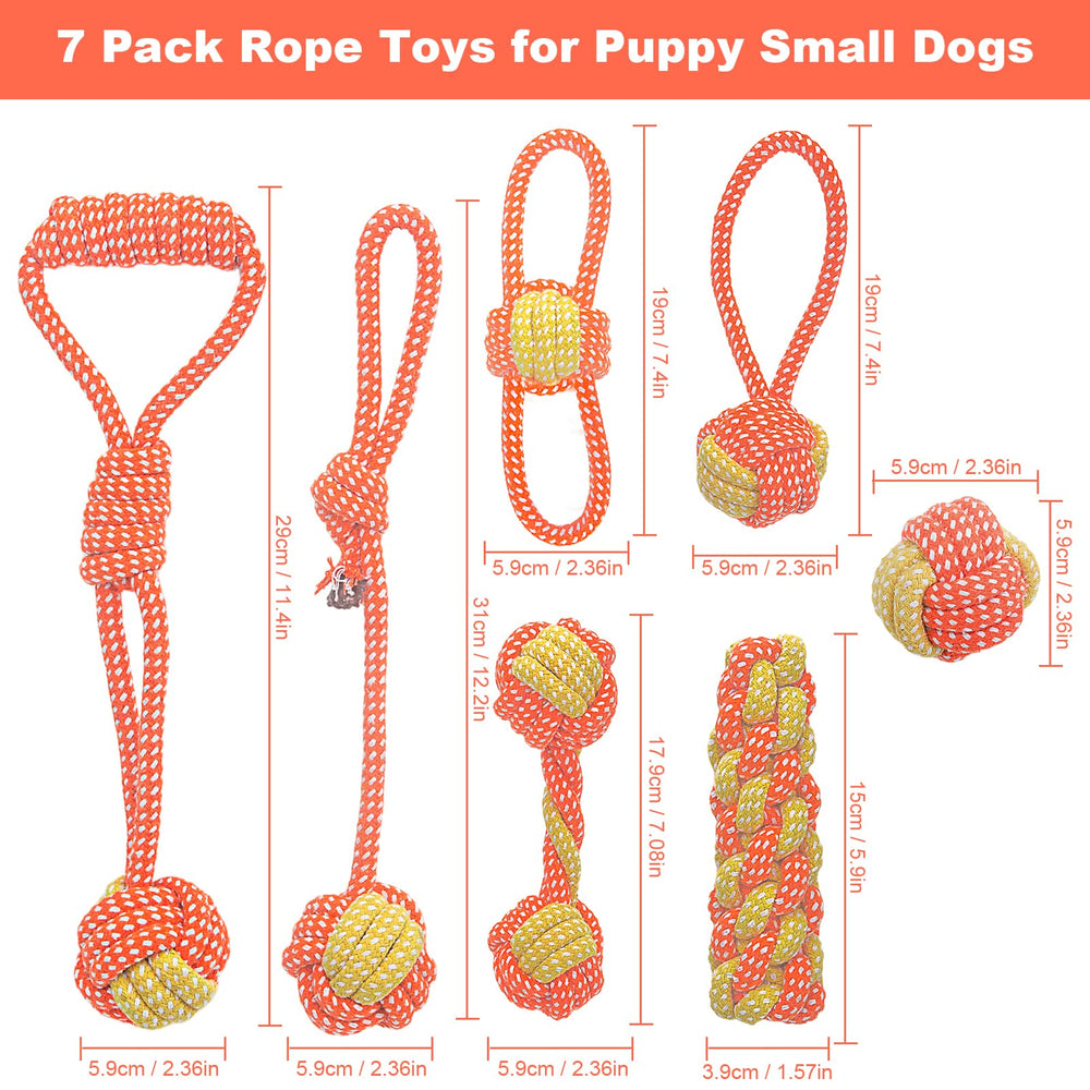 Weocar regalo para perro pequeño, ideal para cumpleaños o festividades.