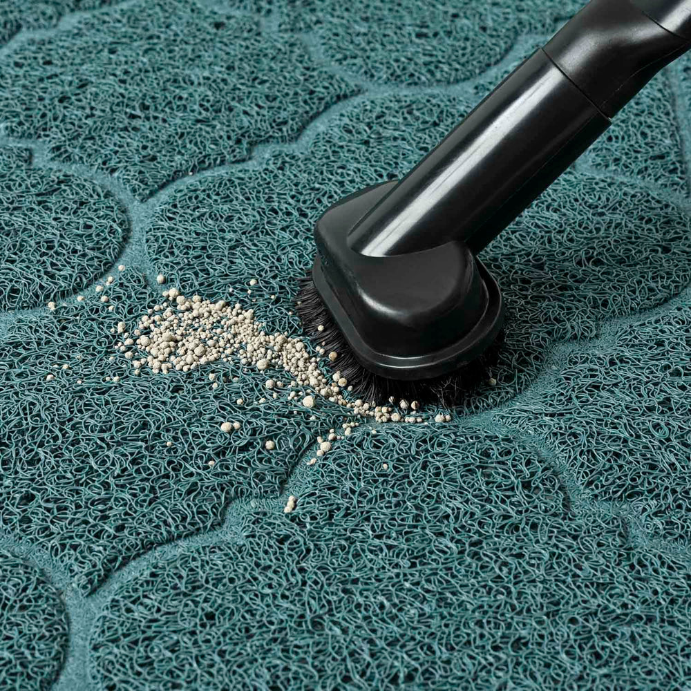 WePet diseño elegante para decorar hogares modernos y tradicionales