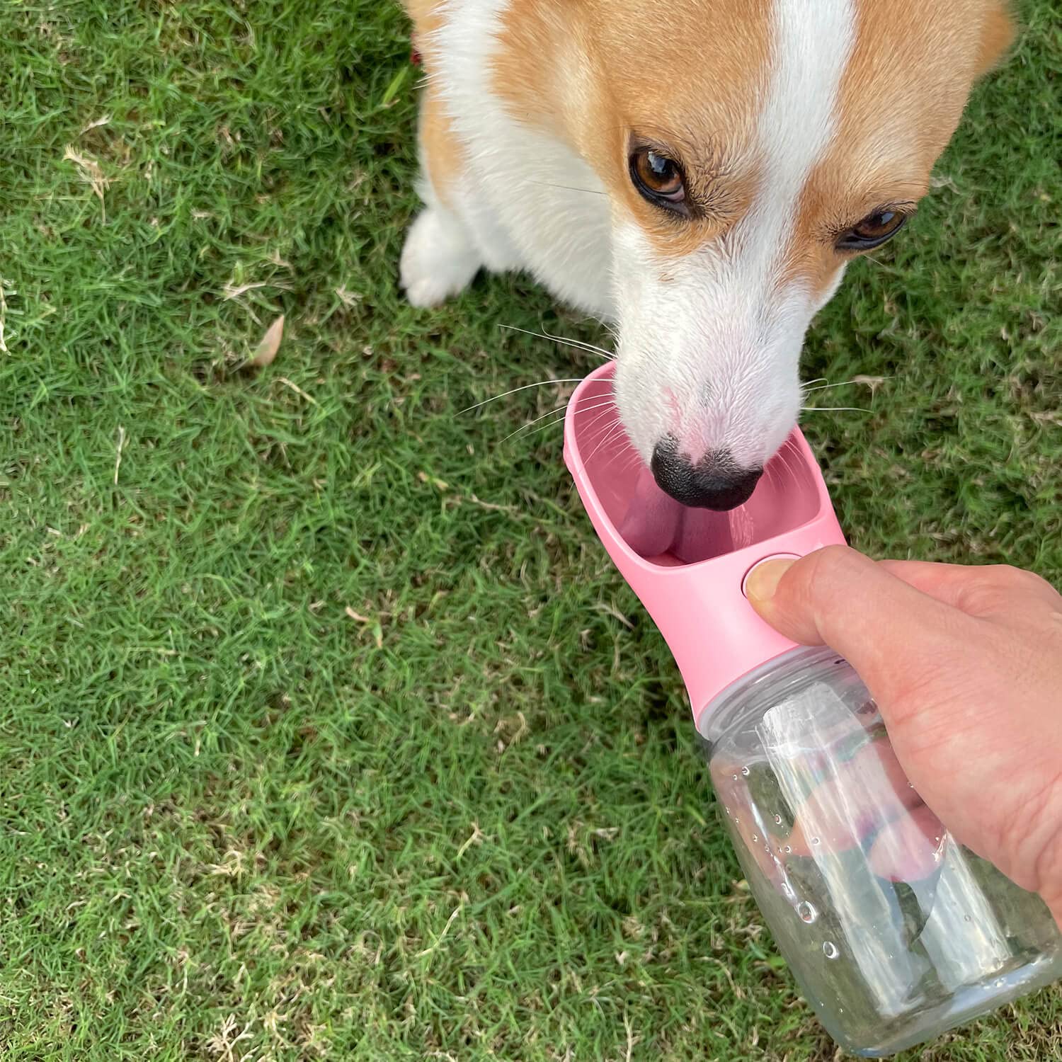 WePet sello de silicona evita fugas, perfecto para mochilas durante caminatas.