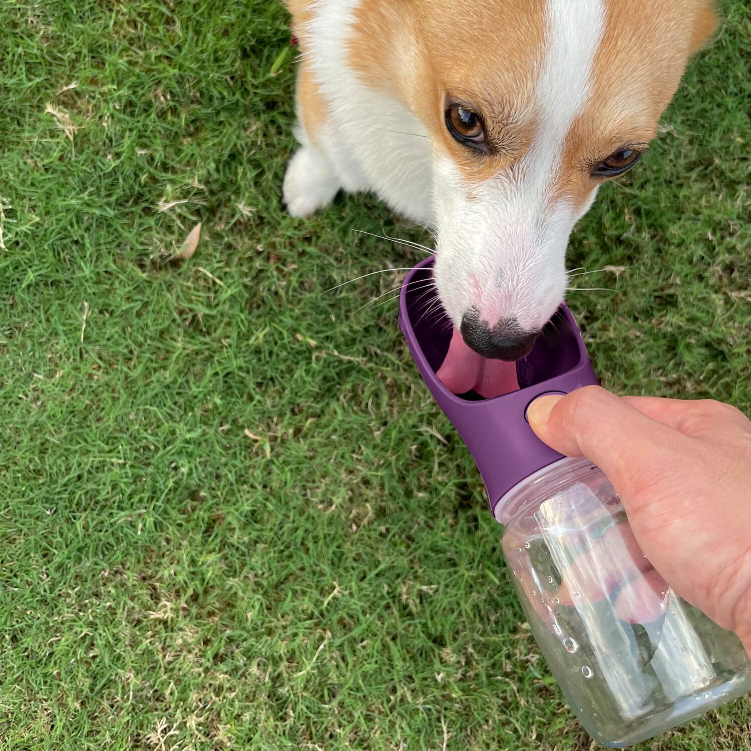 WePet una tecla para abrir y cerrar, uso con una mano.