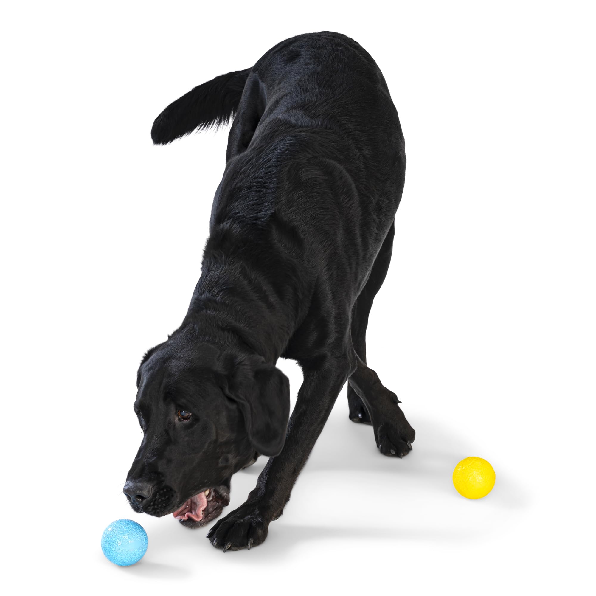 WEST PAW Boundr Bola Reutilizable reduce residuos y ofrece durabilidad para sesiones largas.