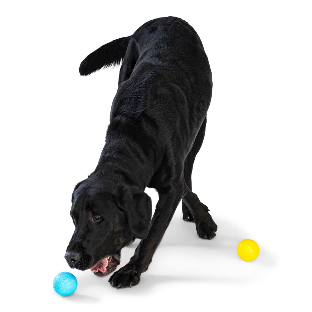WEST PAW Boundr Bola Reutilizable reduce residuos y ofrece durabilidad para sesiones largas.
