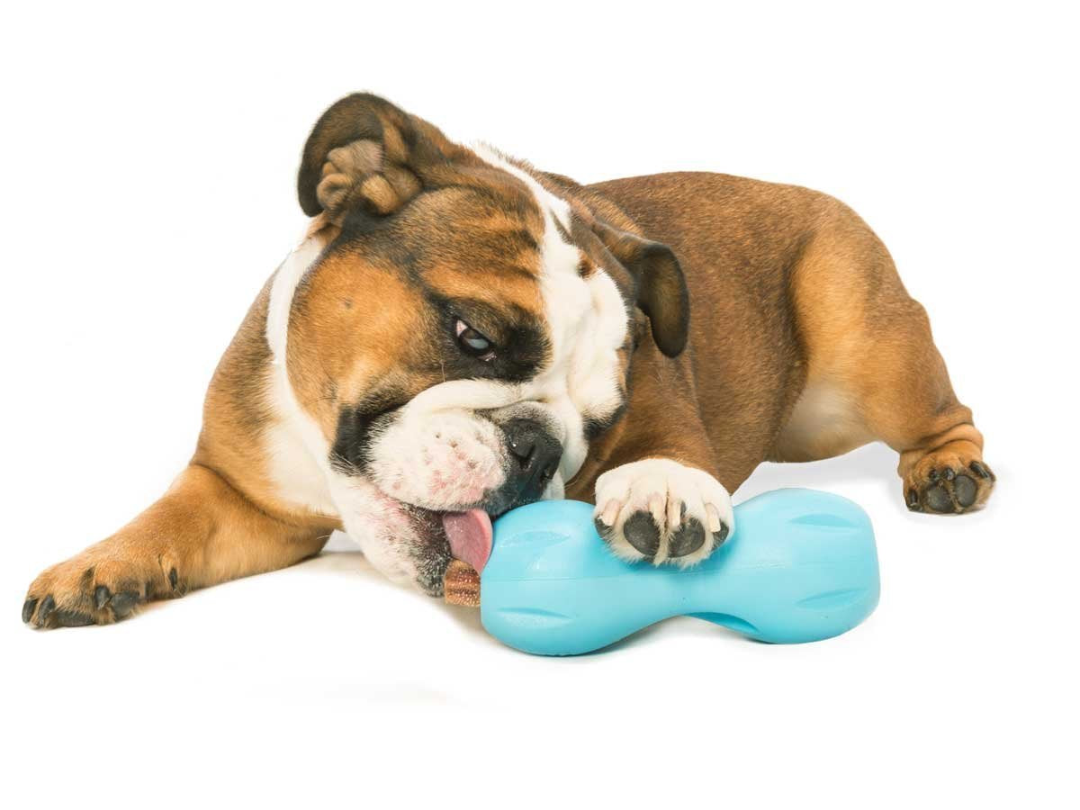 West Paw Qwizl Aqua en forma curva facilita agarre seguro