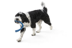 West Paw Seaflex Snorkl, resistente para morder moderadamente, durabilidad diaria en casa o exterior.