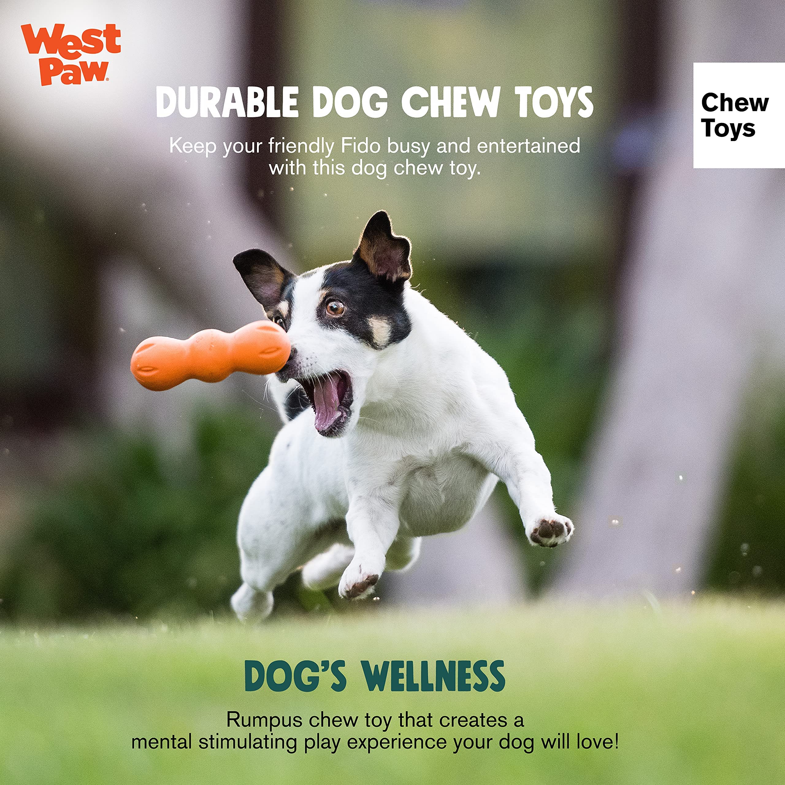 WEST PAW Zogoflex Rumpus, apto para lavavajillas, fácil de limpiar tras sesiones de juego