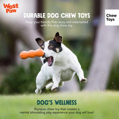 WEST PAW Zogoflex Rumpus, apto para lavavajillas, fácil de limpiar tras sesiones de juego