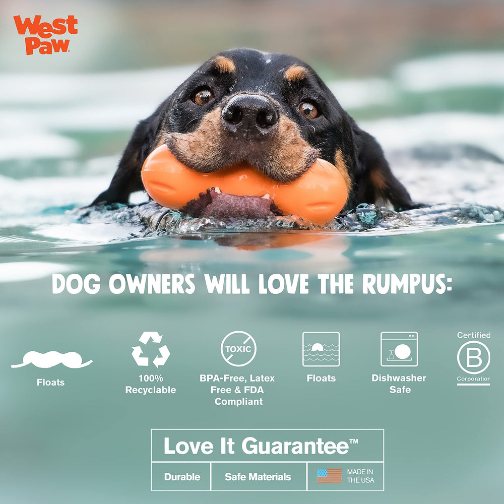 WEST PAW Zogoflex Rumpus, juguete rebotante para juegos de atrapar al aire libre