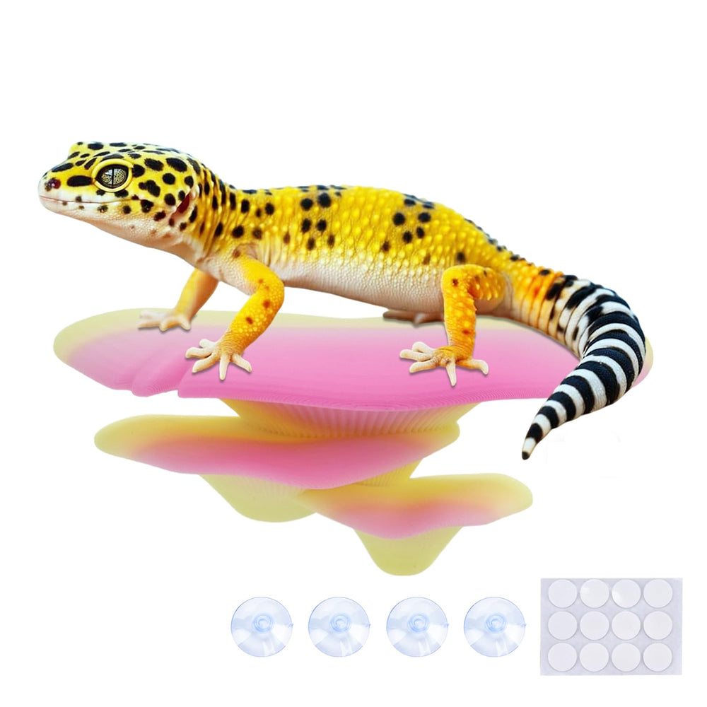 Westant hongo decorativo para terrario, fomenta trepar y explorar.