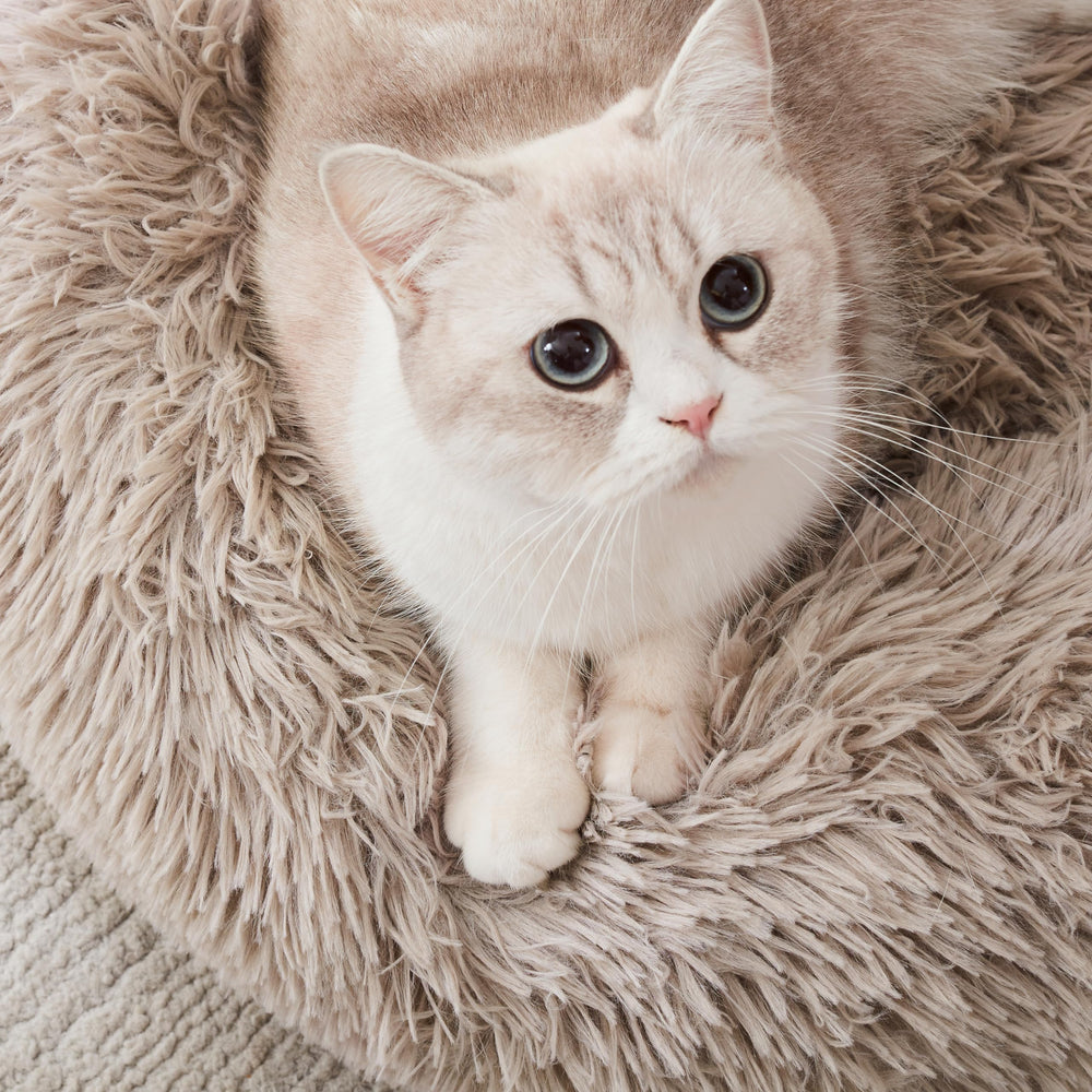 Western Home WH Calming Bed cozy pet nap time spot
