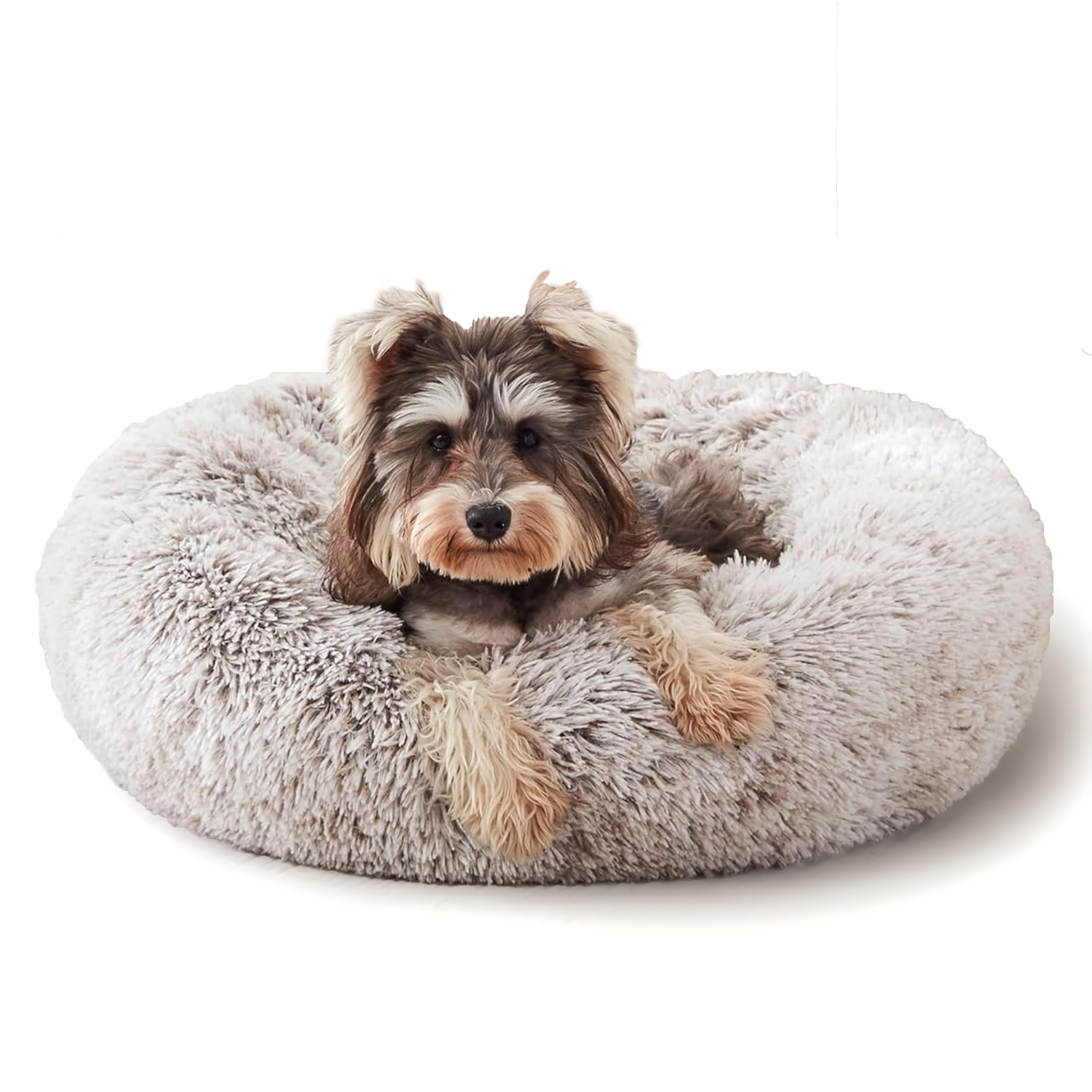 Western Home WH base antideslizante que mantiene estable a tu mascota