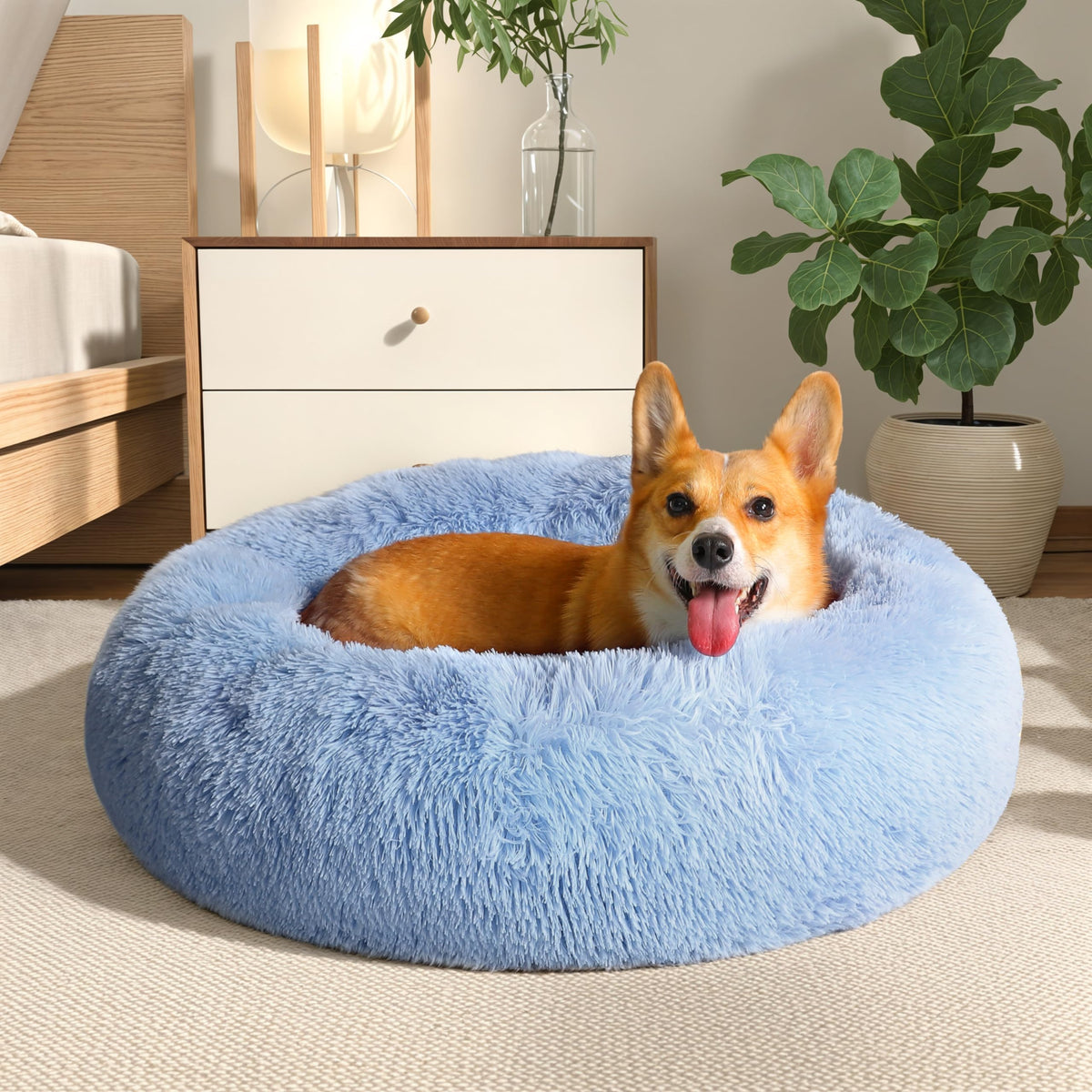 Western Home WH cama calma para perros, vista superior, ideal para acurrucarse.