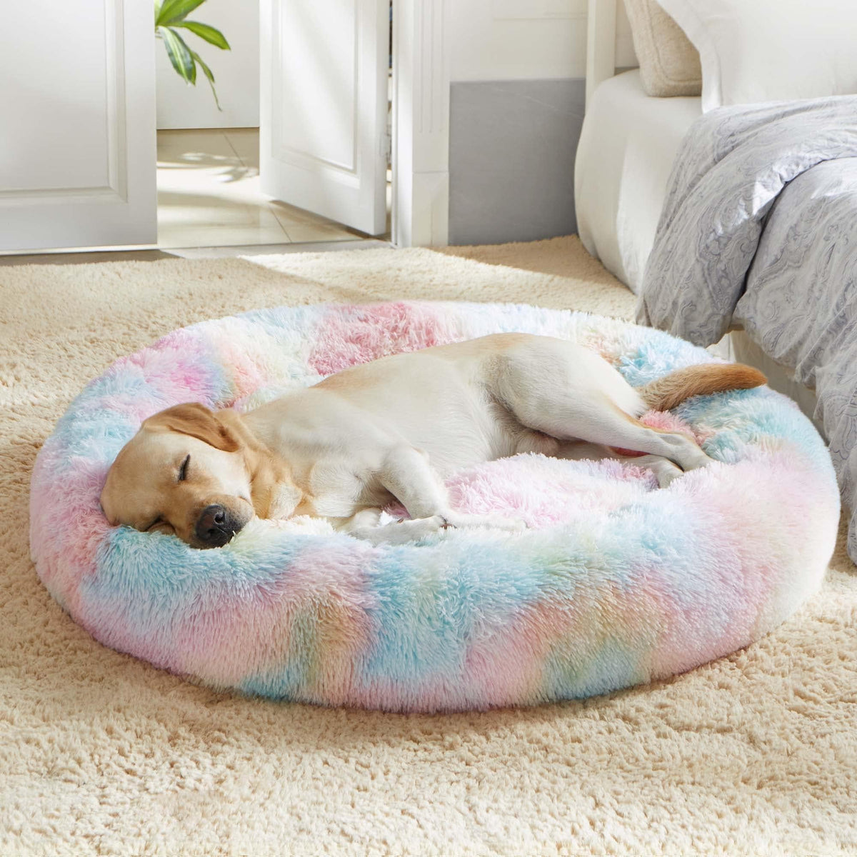 WESTERN HOME WH cama donut calmante, borde suave que abraza a mascotas.