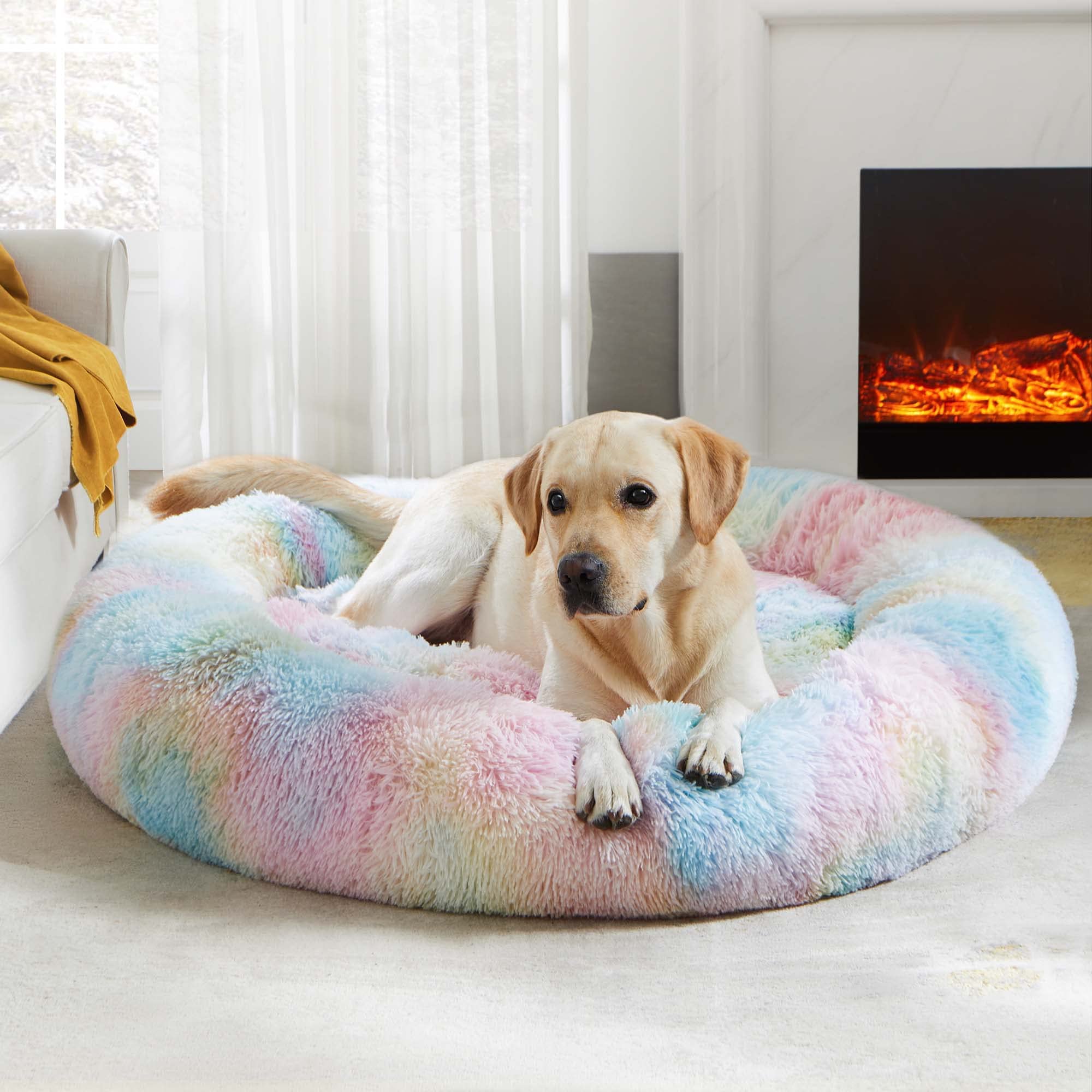 Tres tamaños disponibles para perros y gatos con WESTERN HOME WH.
