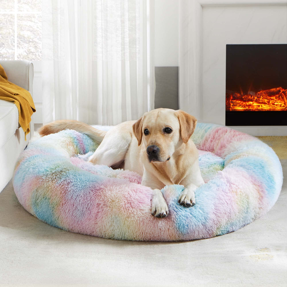 Tres tamaños disponibles para perros y gatos con WESTERN HOME WH.