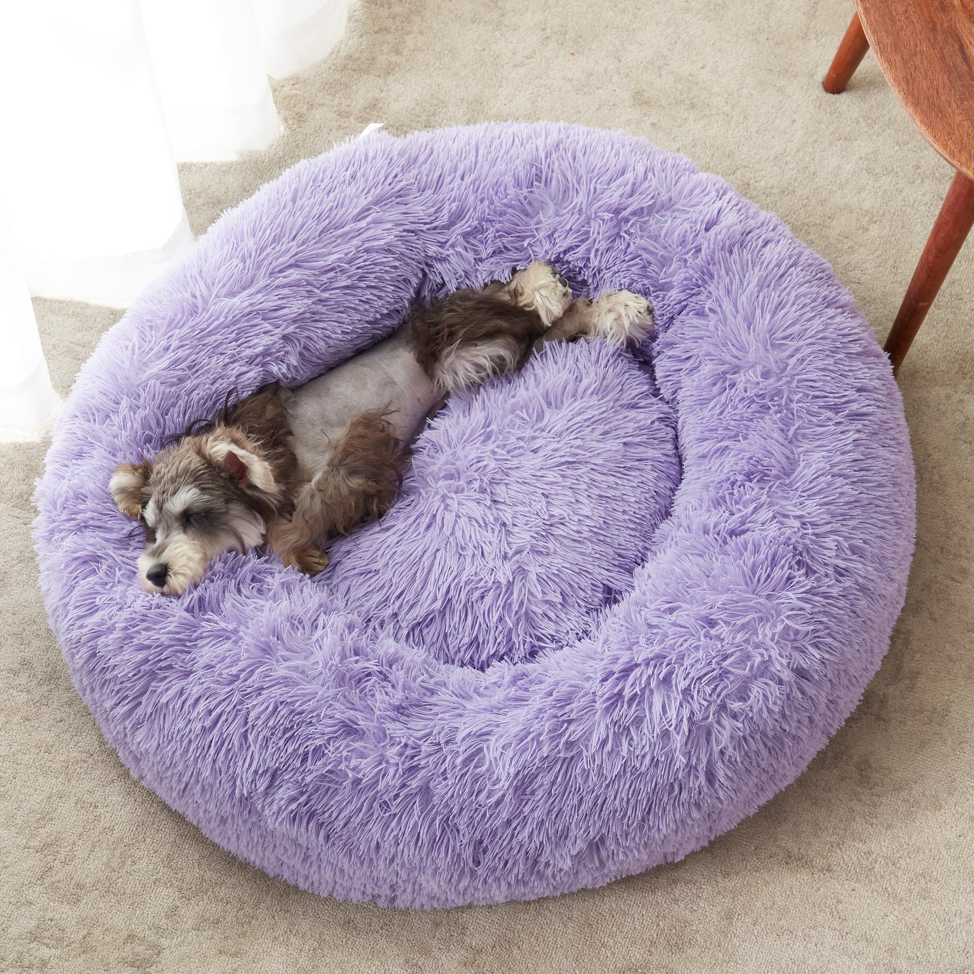 Cama para gato WESTERN HOME WH calma redonda ofrece confort y relax.