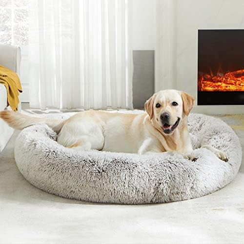 WESTERN HOME WH tallas-disponibles: opción para perros y gatos pequeños a medianos.